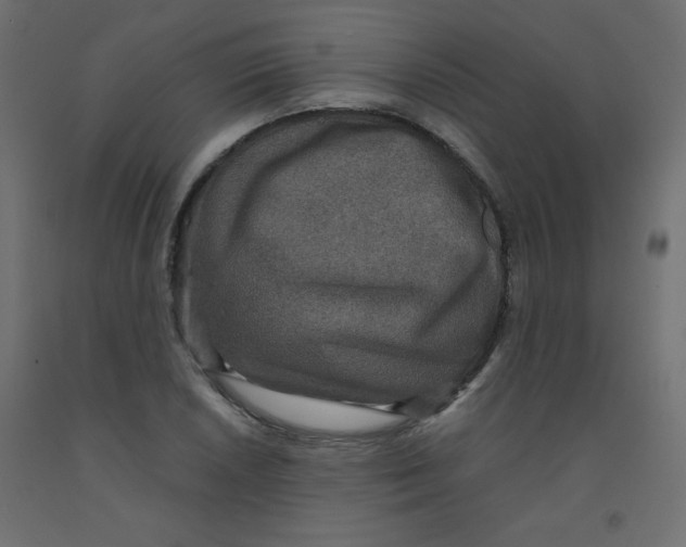 X0000092291026200710121429