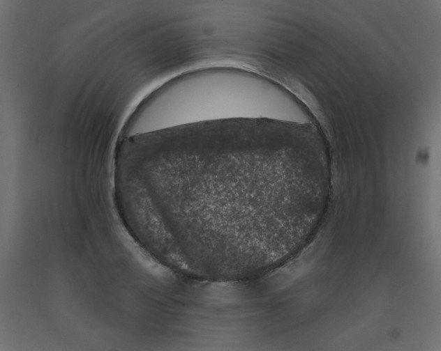 X0000092291028200710121429