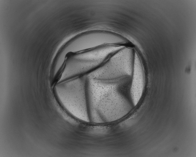 X0000092291029200710121429