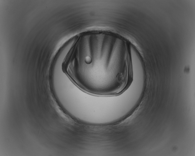 X0000092291030200710121429