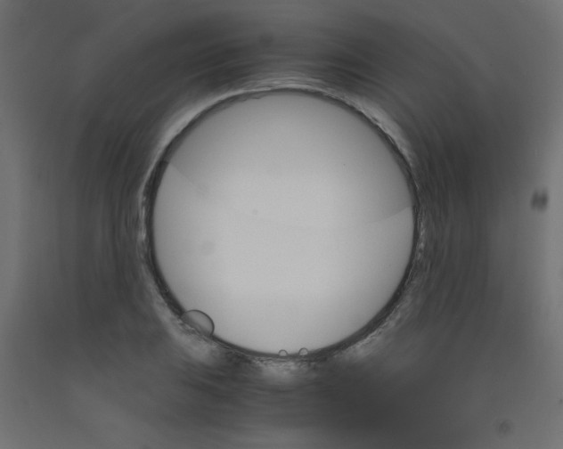 X0000092291031200710121430