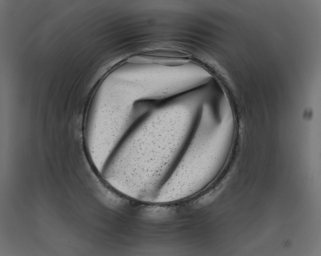 X0000092291033200710121430