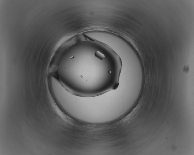 X0000092291034200710121430