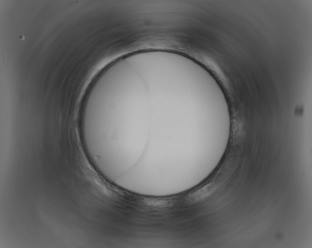 X0000092291035200710121430