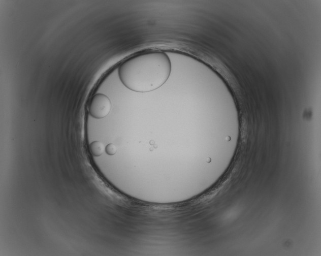 X0000092291036200710121430