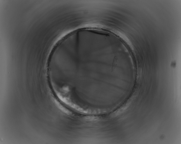 X0000092291037200710121430