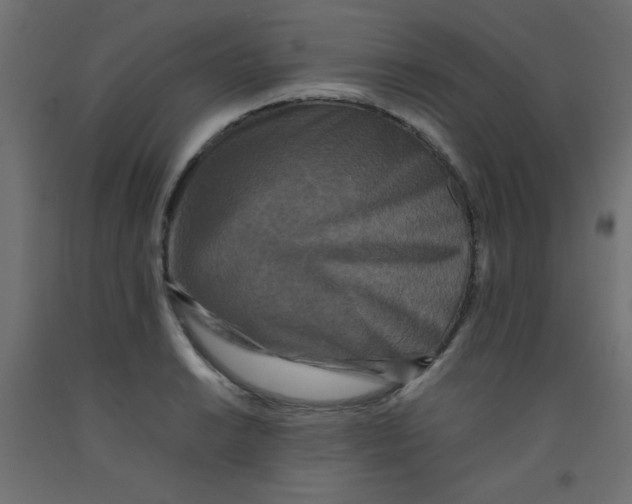 X0000092291038200710121430