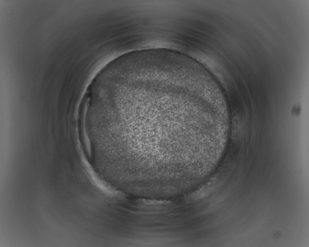 X0000092291039200710121430