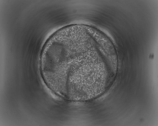 X0000092291040200710121430