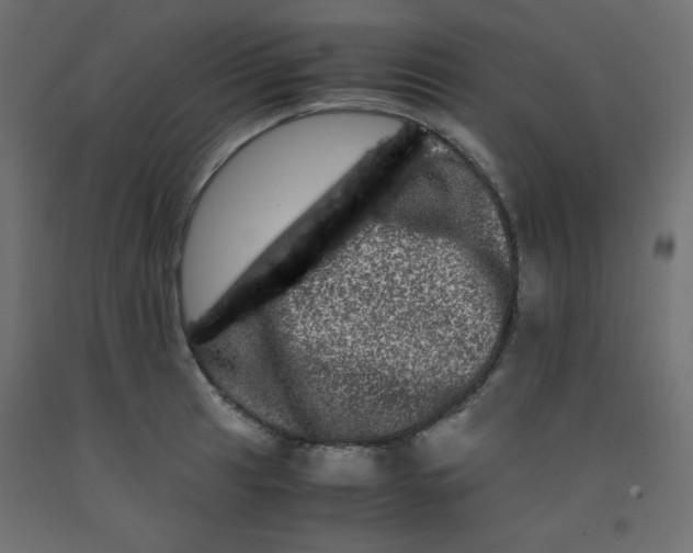 X0000092291041200710121430