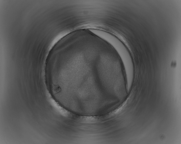 X0000092291042200710121430