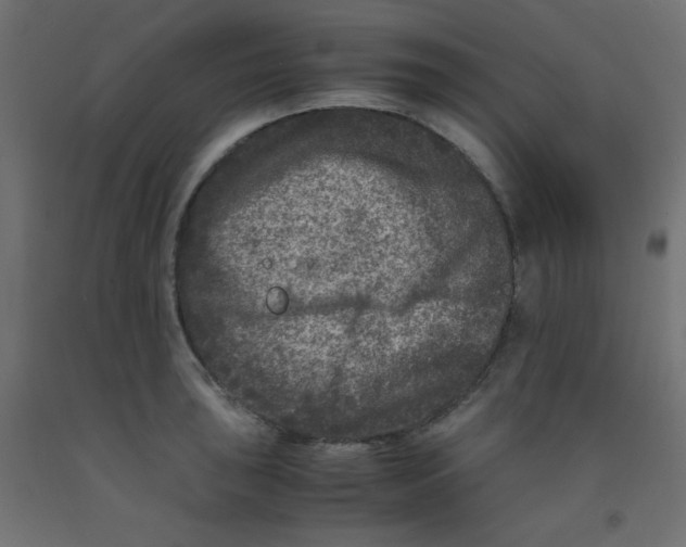 X0000092291043200710121430