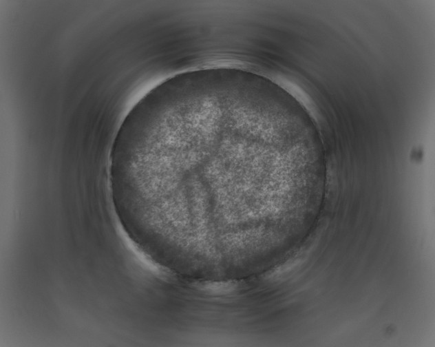 X0000092291047200710121430