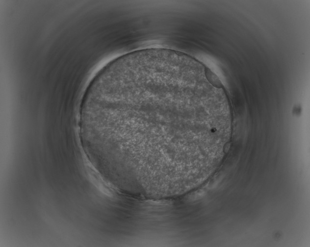 X0000092291051200710121430