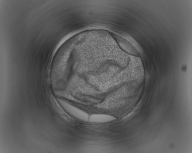 X0000092291052200710121430