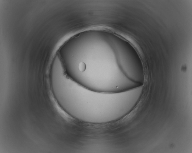 X0000092291054200710121430