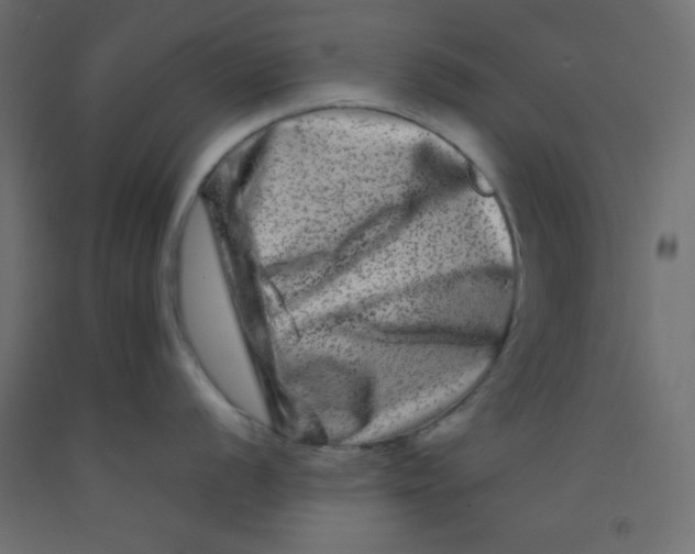 X0000092291056200710121430