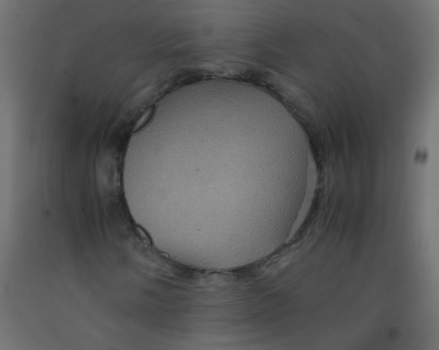 X0000092291058200710121429