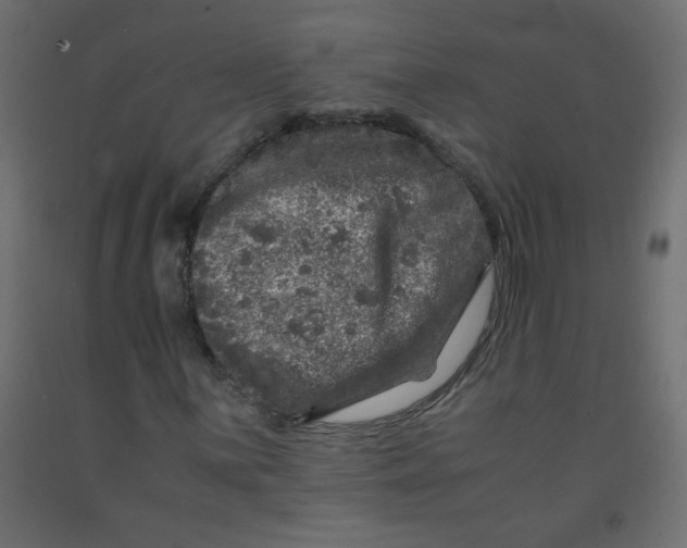 X0000092291059200710121429