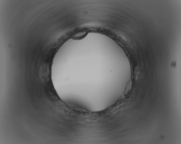 X0000092291062200710121429