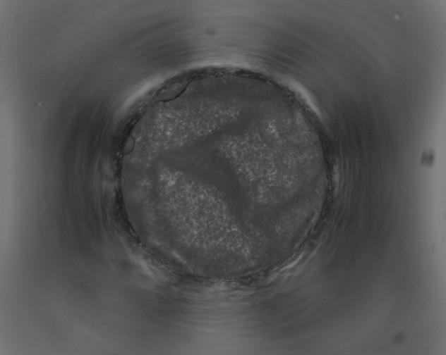 X0000092291064200710121429