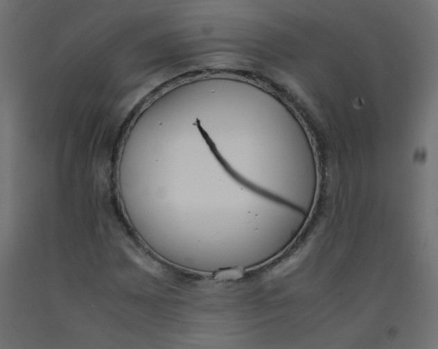 X0000092291065200710121429