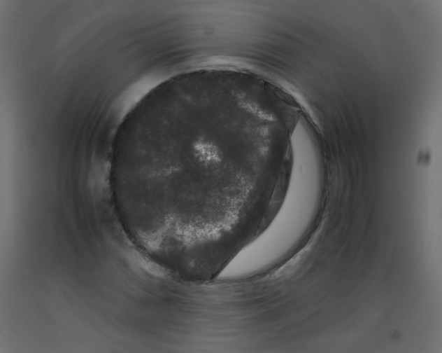 X0000092291066200710121429