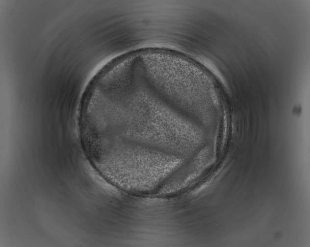 X0000092291068200710121429