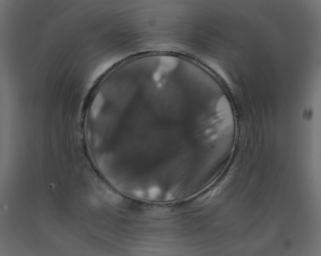 X0000092291071200710121429