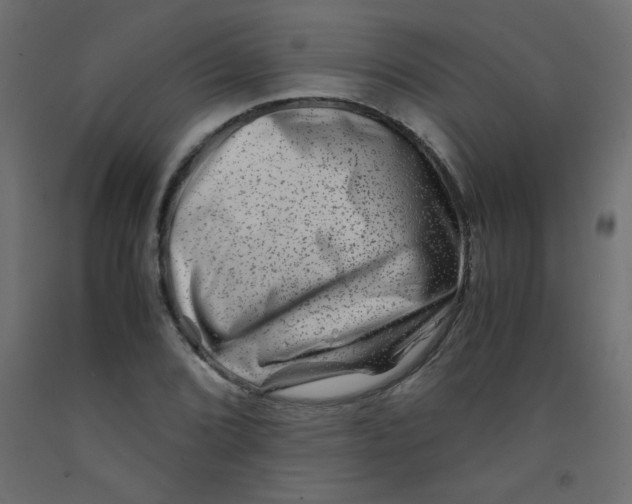 X0000092291072200710121429