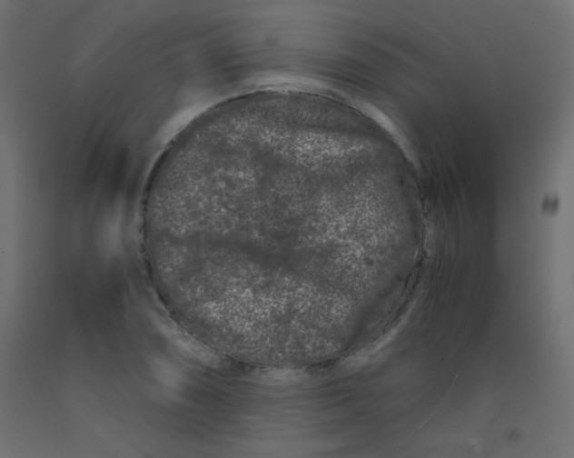 X0000092291074200710121429