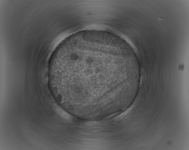 X0000092291075200710121429