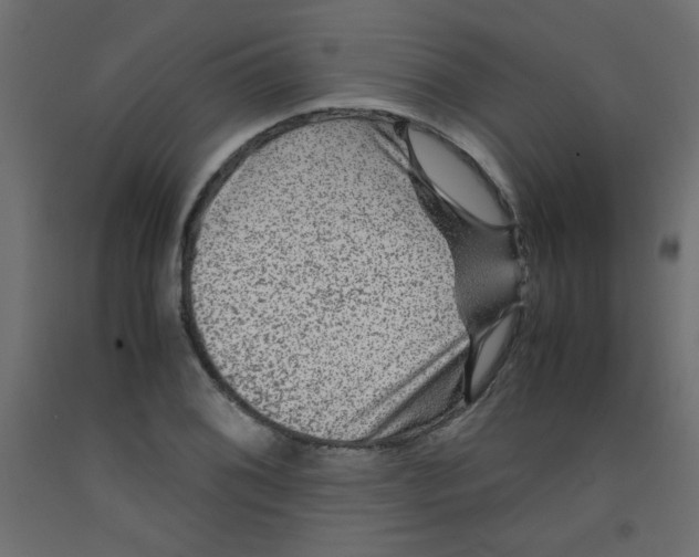 X0000092291076200710121429