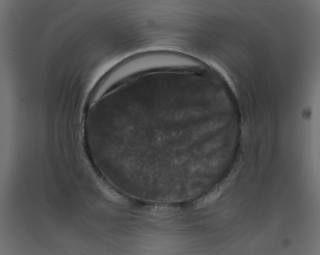 X0000092291077200710121429