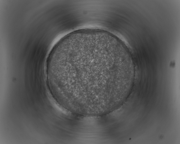 X0000092291078200710121429