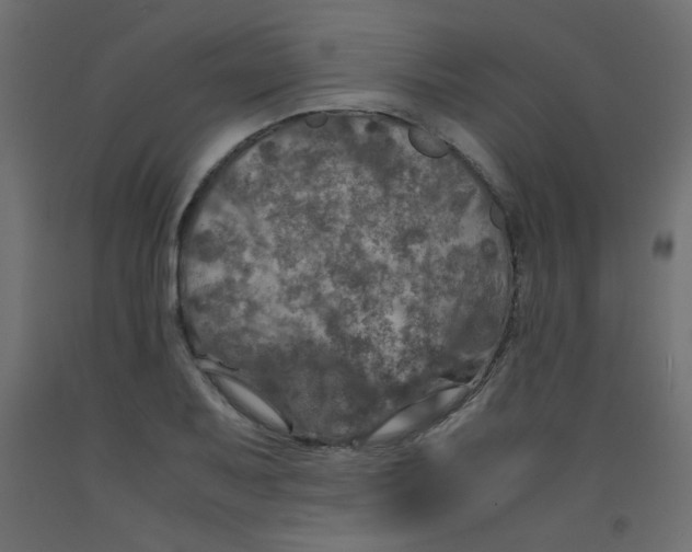 X0000092291079200710121429