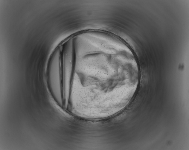 X0000092291080200710121429