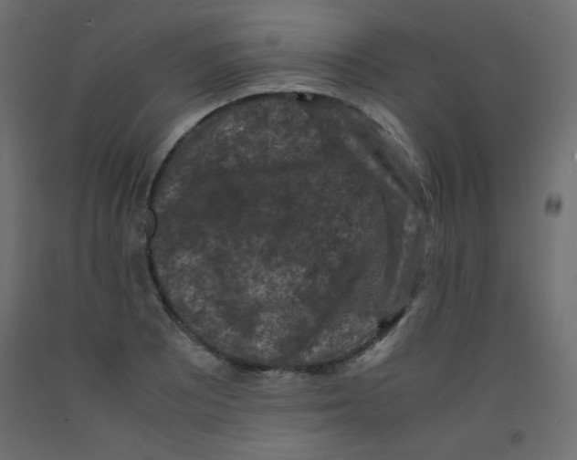 X0000092291081200710121429