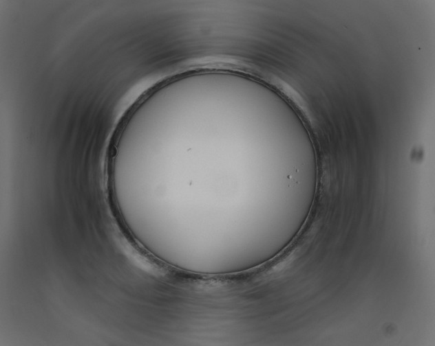 X0000092291082200710121429