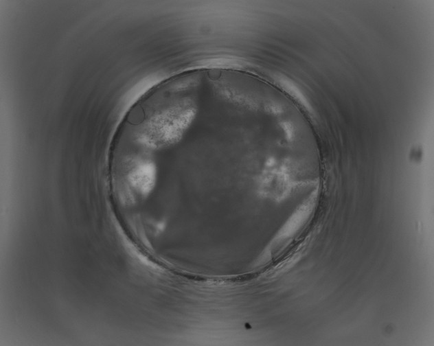 X0000092291087200710121429