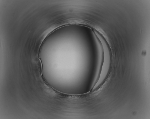 X0000092291089200710121429