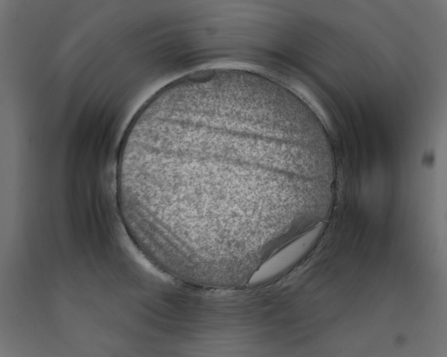 X0000092291092200710121429