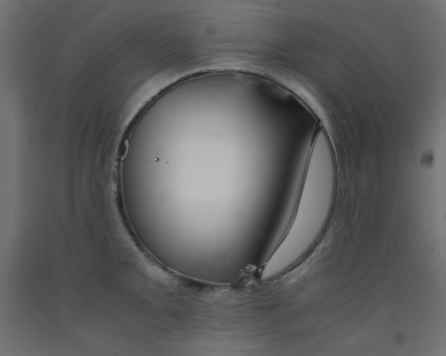 X0000092291093200710121429