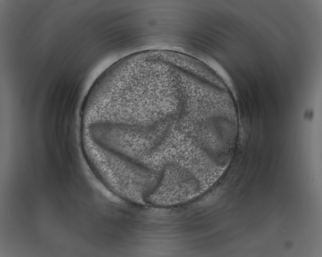 X0000092291096200710121429