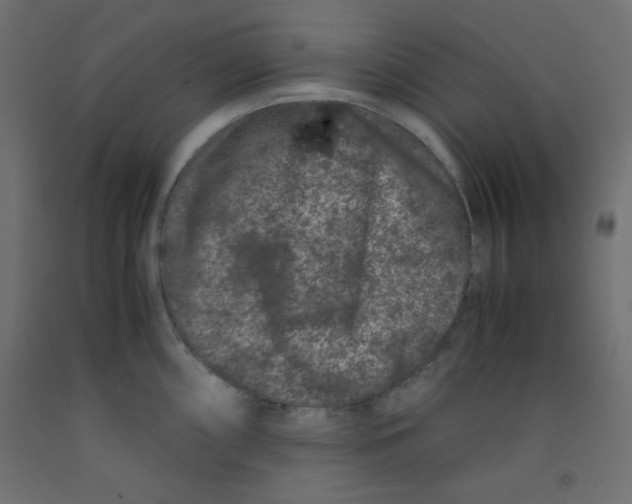 X0000092291098200710121429