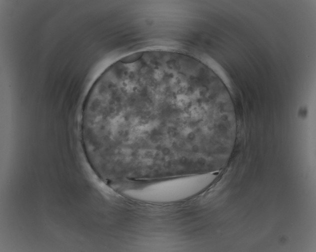 X0000092291099200710121429