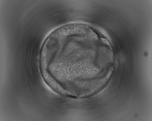 X0000092291100200710121429