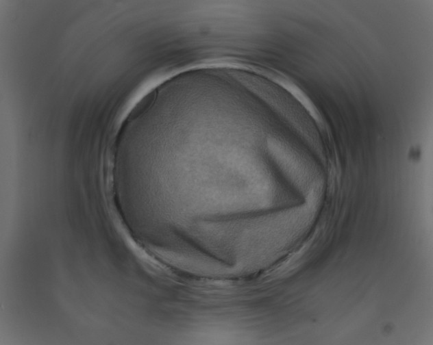 X0000092291101200710121429