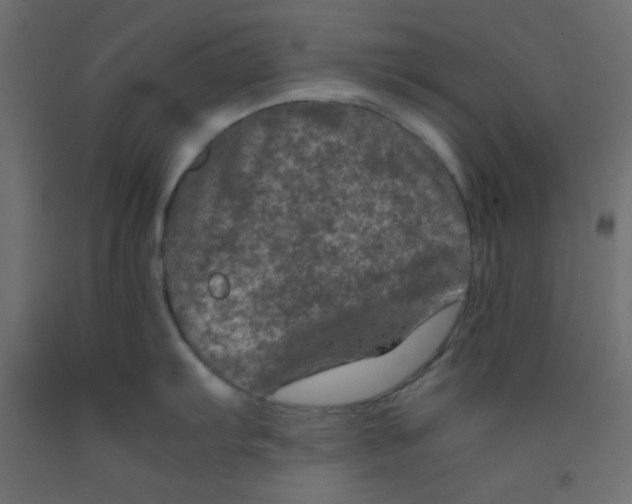 X0000092291103200710121429