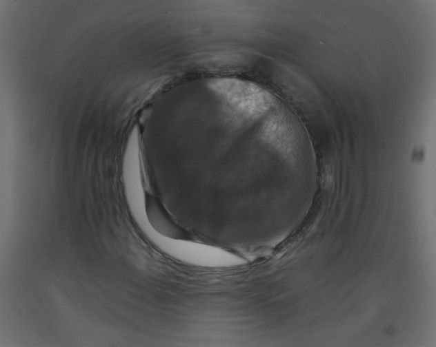 X0000092291108200710121428